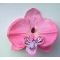 Mažos orchidėjos į plaukus (įvairių spalvų)